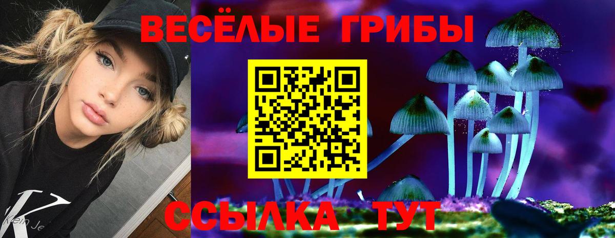 Галлюциногенные грибы Psilocybe  Псилоцибиновые грибы GOLDEN TEACHER  Вход с VPN  Великий Новгород 